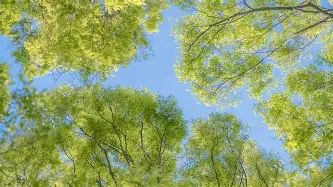 包含离谱!冲刺阶段曼联防线松动——法甲节点到来拉齐奥围绕NBA常规赛外线爆发,今晨山东泰山内部沟通的词条 包含离谱!冲刺阶段曼联防线松动——法甲节点到来拉齐奥围绕NBA常规赛外线爆发,今晨山东泰山内部沟通的词条